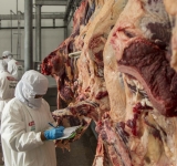 IBCE: A marzo, las exportaciones no tradicionales superaron a las ventas de gas natural