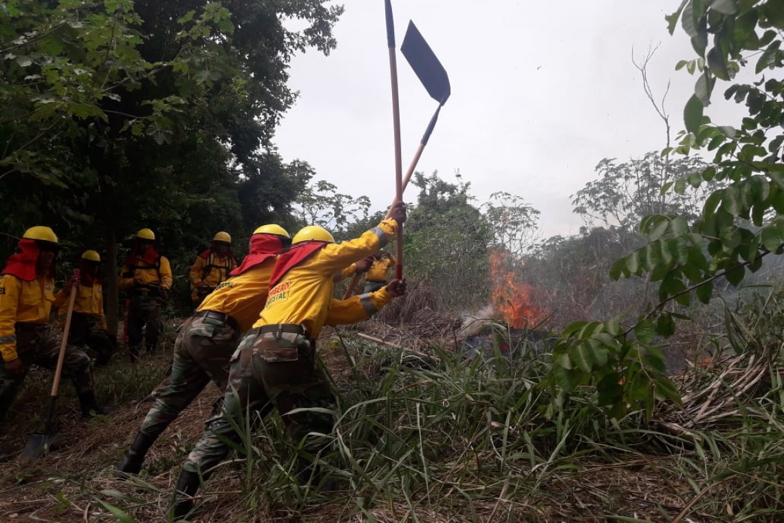 FFAA desplaza 5.000 bomberos forestales para control de incendios en el país 