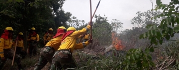 FFAA desplaza 5.000 bomberos forestales para control de incendios en el país 