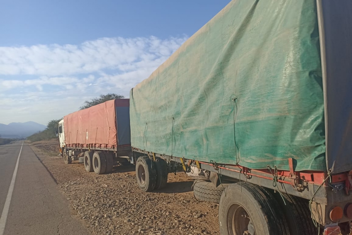 Aduana comisa en Tarija mercadería de contrabando valuado en Bs 31.898.188