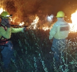 Bomberos, maquinaria y aeronaves trabajan para disipar el fuego en el Parque Otuquis