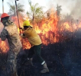 Bomberos de las FFAA sofocan incendios en Yacuiba Tarija y en Chuquisaca