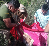 Condenan a 30 años de cárcel a feminicidas de María en Camiri