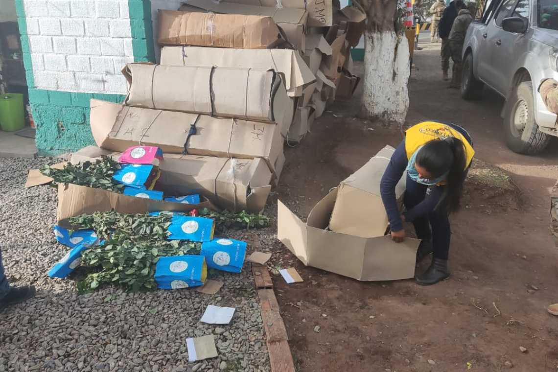 Militares detectan incremento contrabando de flores por mayo