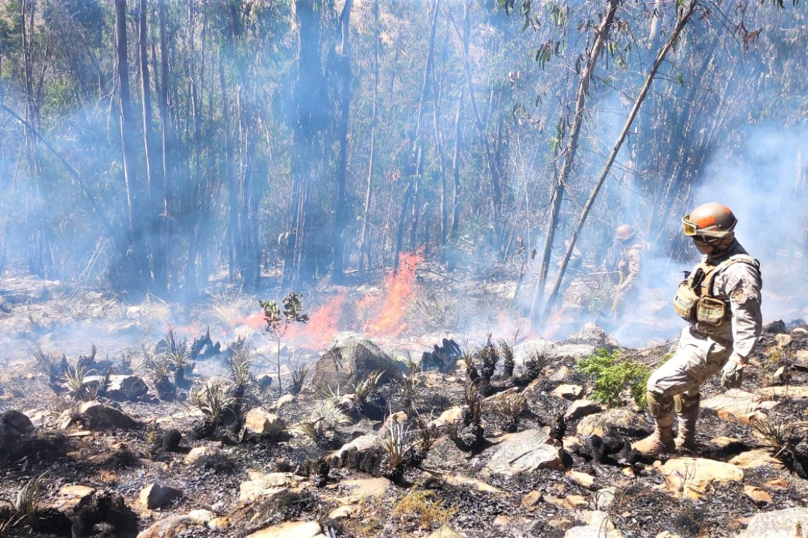 Bomberos forestales de las FFAA controlan incendio en el municipio de Tiraque