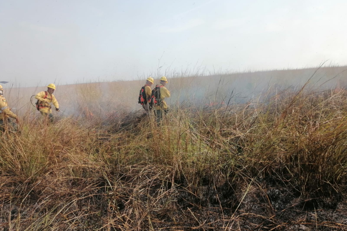 Bomberos forestales de las FFAA controlan incendio en Parque Otuquis