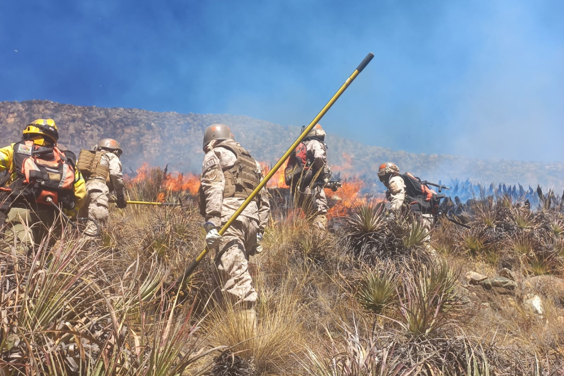 Gobierno y municipios de Cochabamba disponen tareas para prevenir incendios