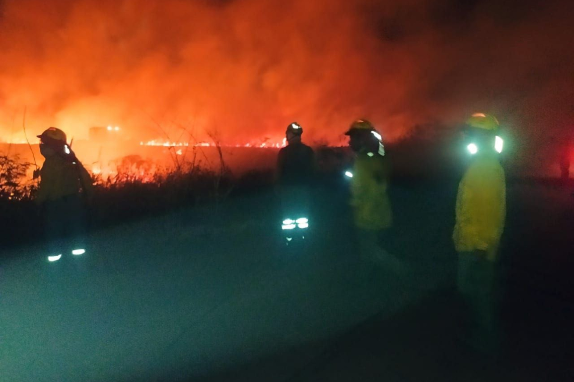 Navales controlan incendio en Parque Nacional Otuquis, en Santa Cruz