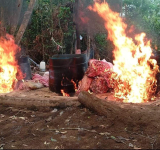 En Villa Tunari personal de UMOPAR destruye 15 fábricas de cocaína