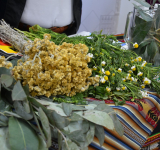 Lanzan feria de fortalecimiento de la medicina tradicional que reúne a 40 expositores