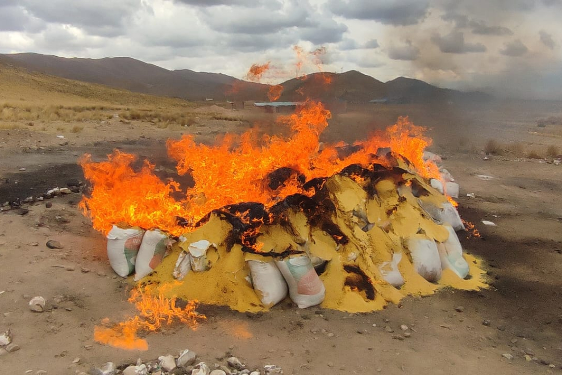 Incineran 21,6 toneladas de cocaína encontradas en medio de harina de soya destinada a Alemania 