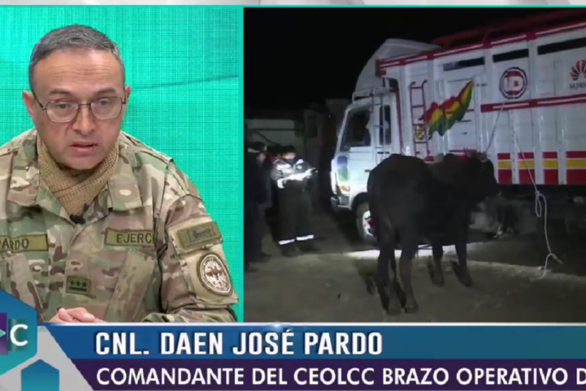 Carnes, huevo, harina, maíz y azúcar son los productos más incautados por el Comando de Lucha Contra el Contrabando