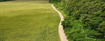 Intervienen finca “Adán y Eva” en investigación contra la familia de Luis Arce