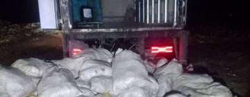 Senasag confirma la destrucción de ocho toneladas de pollo en estado de descomposición