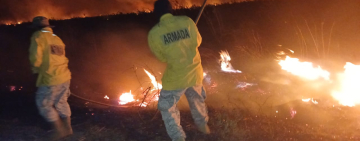 Navales contienen incendio forestal y protege infraestructura estratégica en Puerto Busch