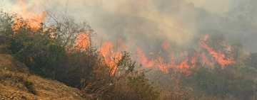 Ministerio de Defensa aúna esfuerzos para ahogar los incendios forestales en Tarija