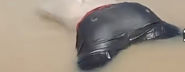 Navales recuperan cuerpo sin vida de persona reportada como desaparecida en el Río Madre de Dios