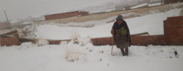 Defensa Civil activa atención y gestiona ayuda para 51 familias afectadas por nevada en Potosí