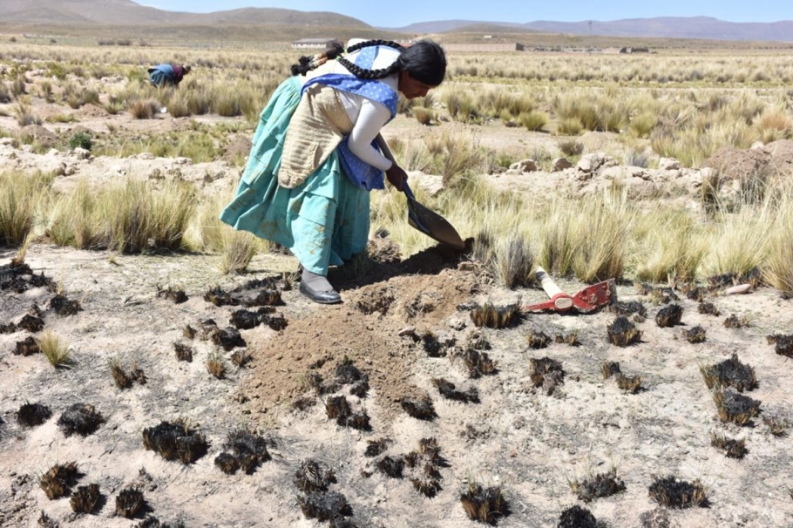 Gobernación evaluará junto a municipios efectos de las heladas en el área rural