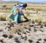 Gobernación evaluará junto a municipios efectos de las heladas en el área rural