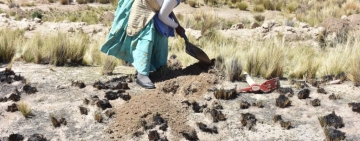 Gobernación evaluará junto a municipios efectos de las heladas en el área rural