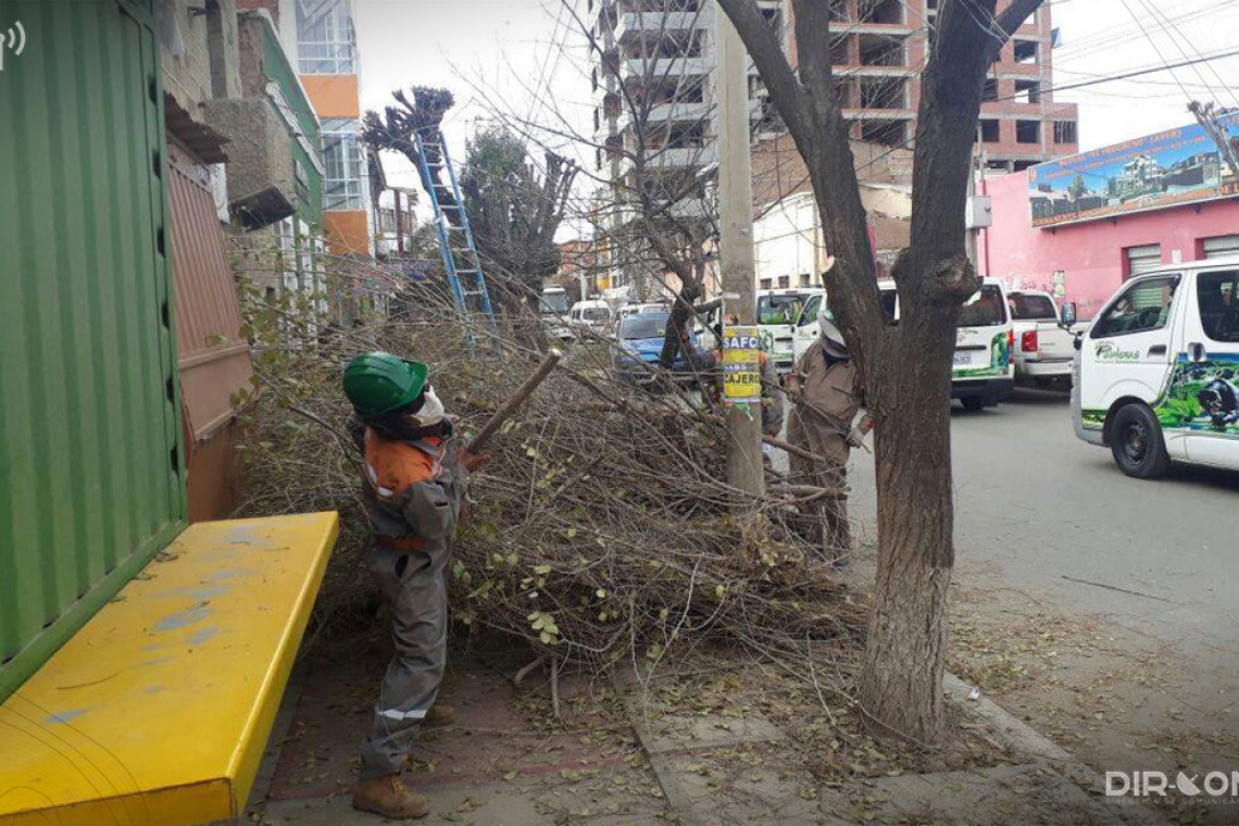 Poda de áreas verdes brinda seguridad a la población 