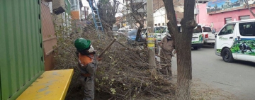 Poda de áreas verdes brinda seguridad a la población 