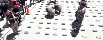 Felcn afecta al narcotráfico con $us 2 millones por incautación de 769 kilos de droga