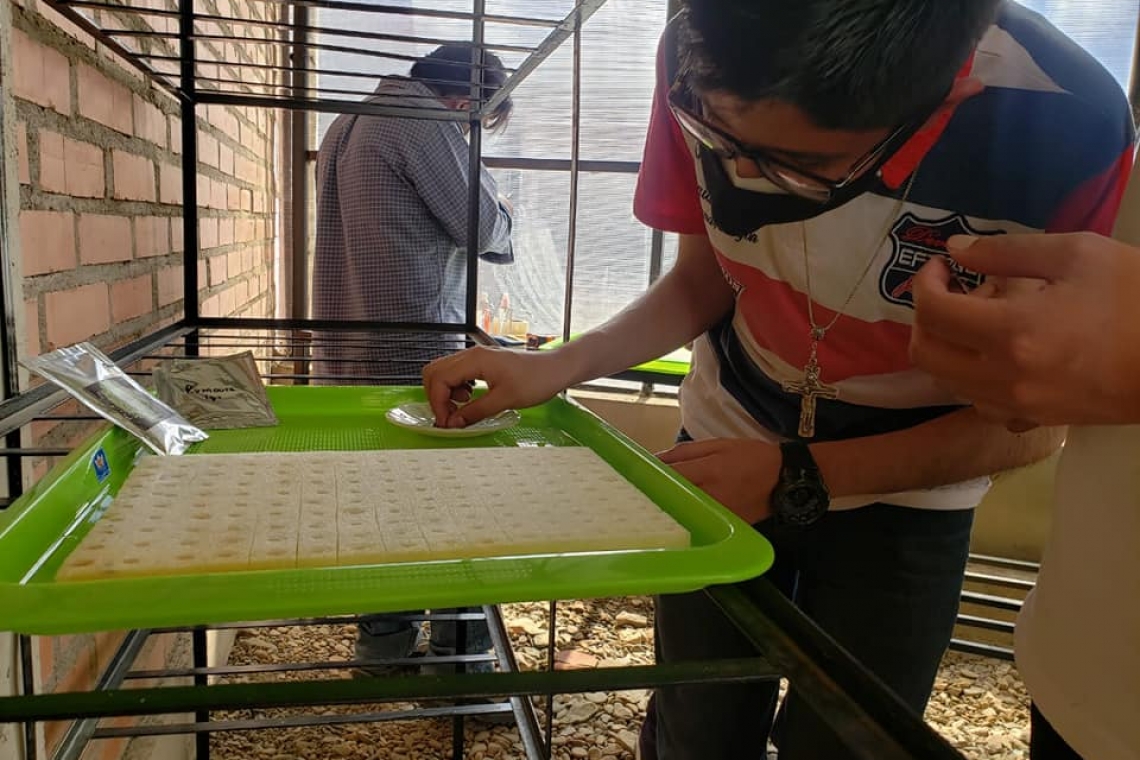 Misioneras Cruzadas de la Iglesia destacan resultados del taller sobre cultivo hidropónico