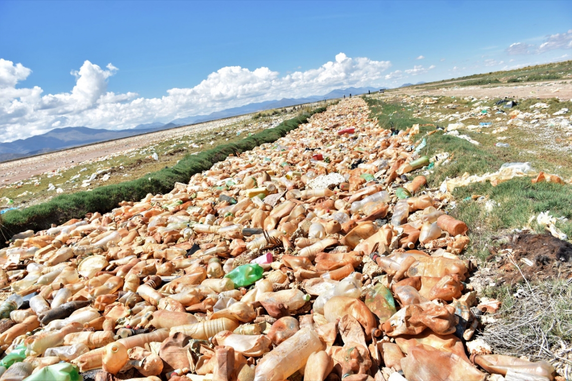 Pese a la contaminación por plástico  el corazón del lago Uru Uru “aún late”