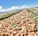 Pese a la contaminación por plástico  el corazón del lago Uru Uru “aún late”