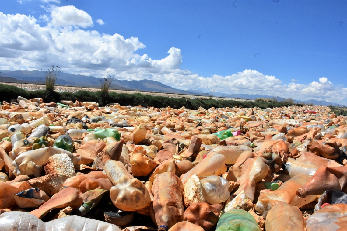 El alcalde electo de Oruro pide ayuda internacional para salvar al lago Uru Uru