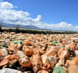 El alcalde electo de Oruro pide ayuda internacional para salvar al lago Uru Uru