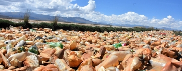 El alcalde electo de Oruro pide ayuda internacional para salvar al lago Uru Uru