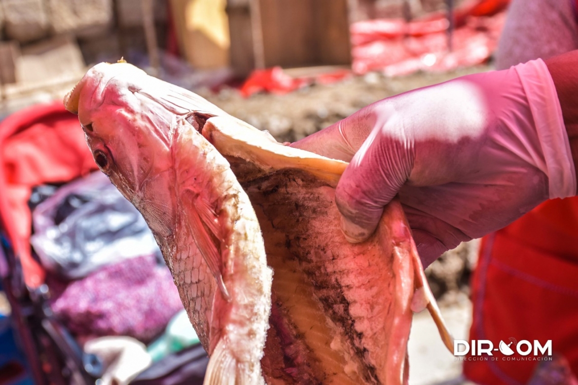 Estricto control en la venta de pescado por Defensa al Consumidor del GAMO