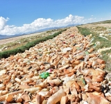 “Cruzada medioambiental” pretende recoger más de 8 mil toneladas de basura