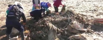 Entusiasmo de limpiar el lago Uru Uru duró poco