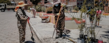 Coordinan actividades de forestación y limpieza en la ciudad