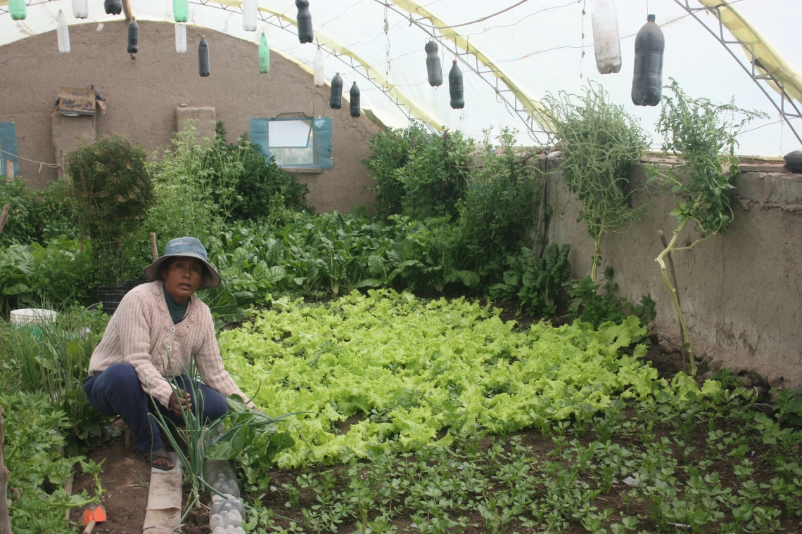 Productos ecológicos certificados, una realidad en Oruro