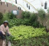 Productos ecológicos certificados, una realidad en Oruro