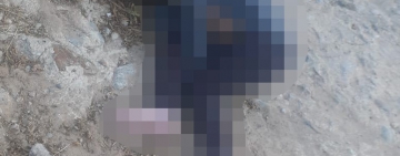 FELCV y Fiscalía captura a sospechosos de feminicidio de una adolescente de 16 años en Potosí