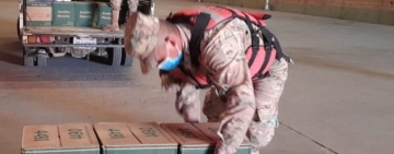 Navales comisan alimentos procedentes del Perú en zonas lacustres del Titicaca