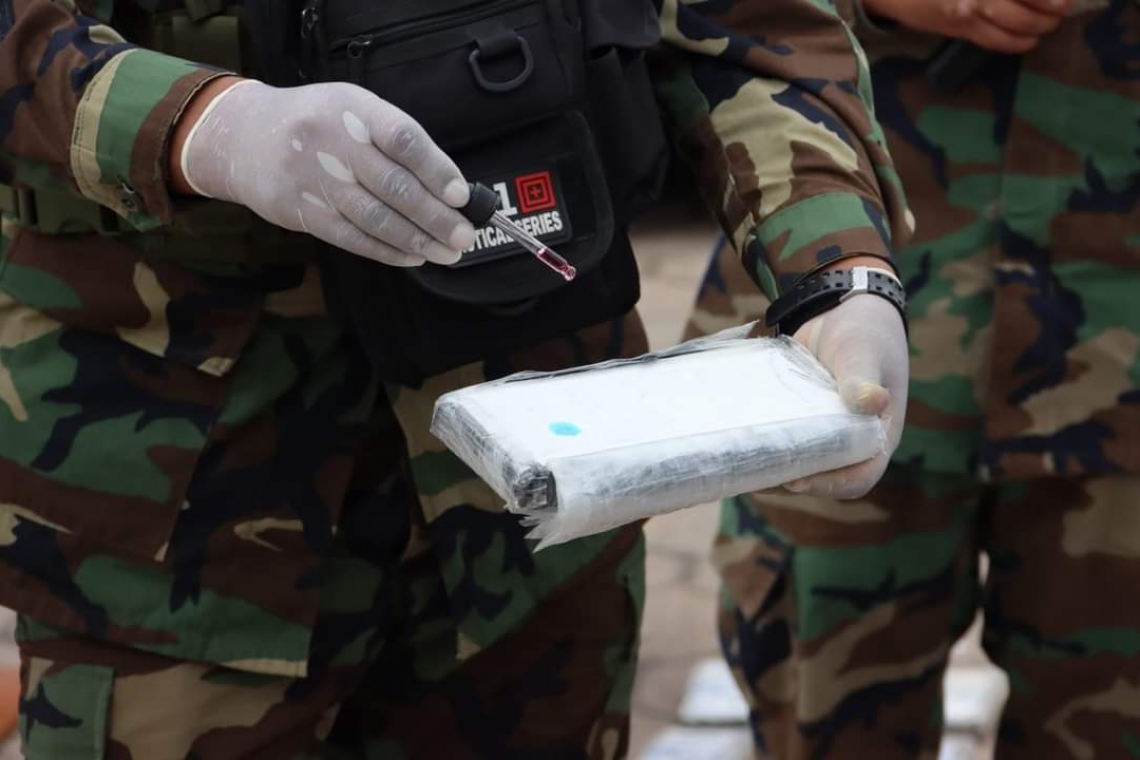 La FELCN y “Diablos Azules” afectan al narcotráfico con $us 552