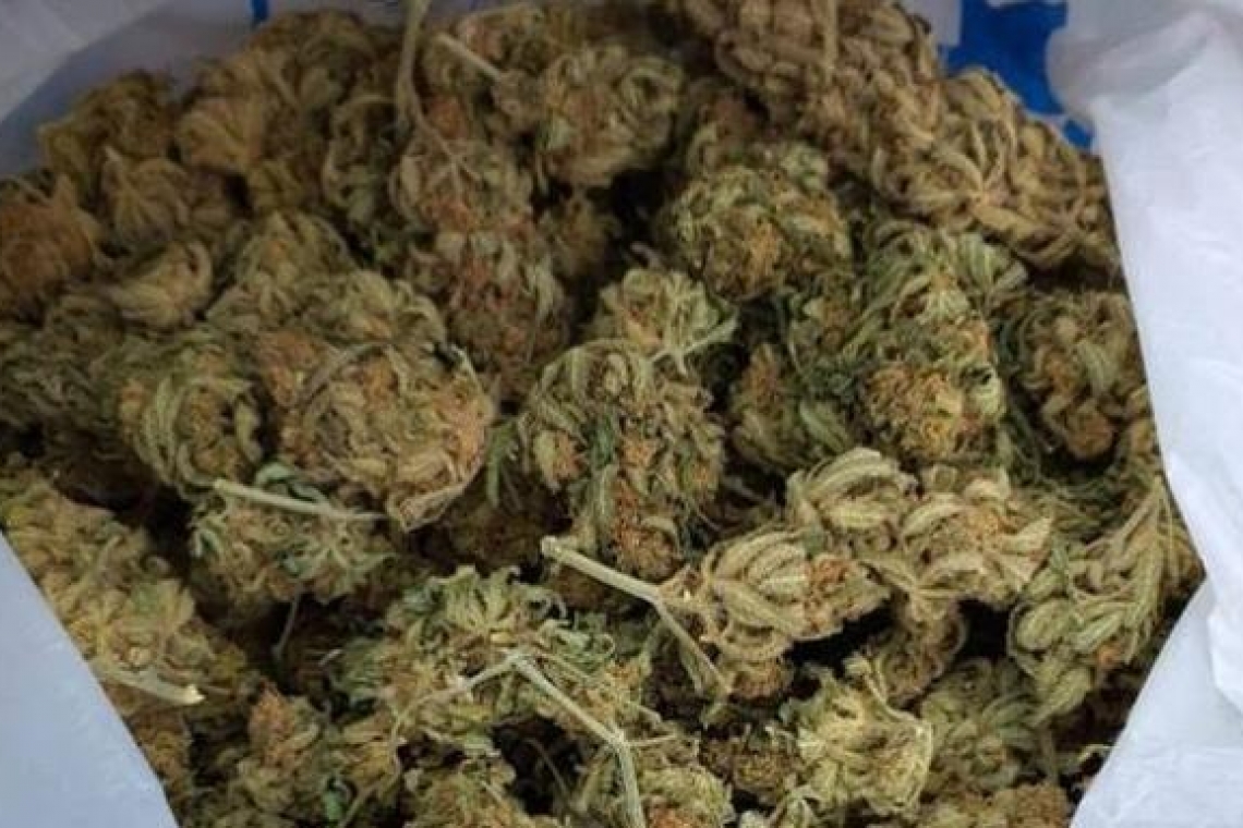 Dictan sentencia a 14 años a sujetos por tráfico de marihuana en Tarija