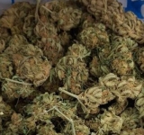Dictan sentencia a 14 años a sujetos por tráfico de marihuana en Tarija