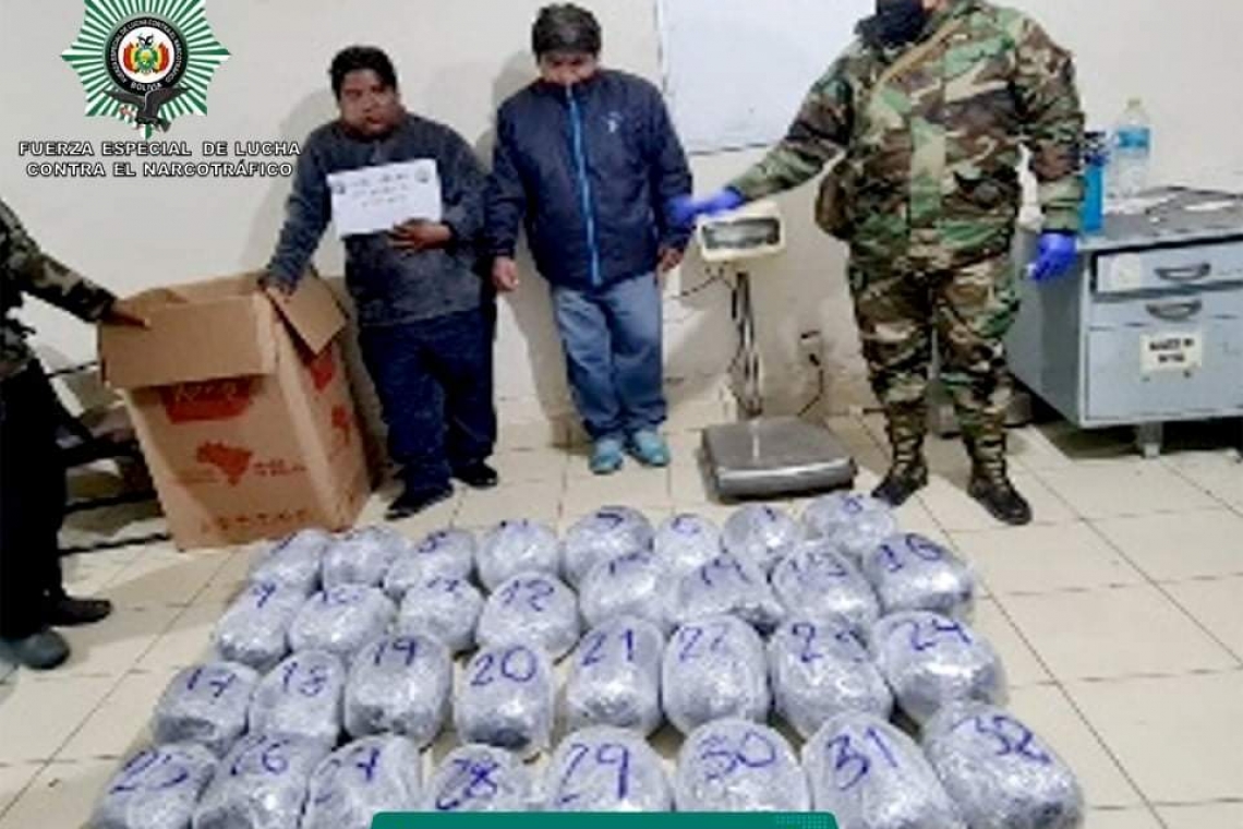 FELCN confisca 30, 5 kilos de marihuana en Oruro-Llallagua