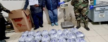 FELCN confisca 30, 5 kilos de marihuana en Oruro-Llallagua