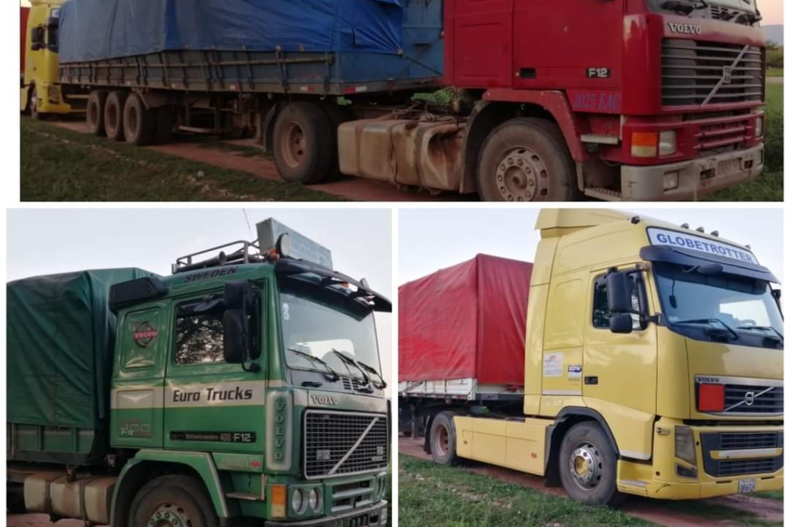 Aduana comisa 184 toneladas de soya mezclada con semillas y residuos de bolsa