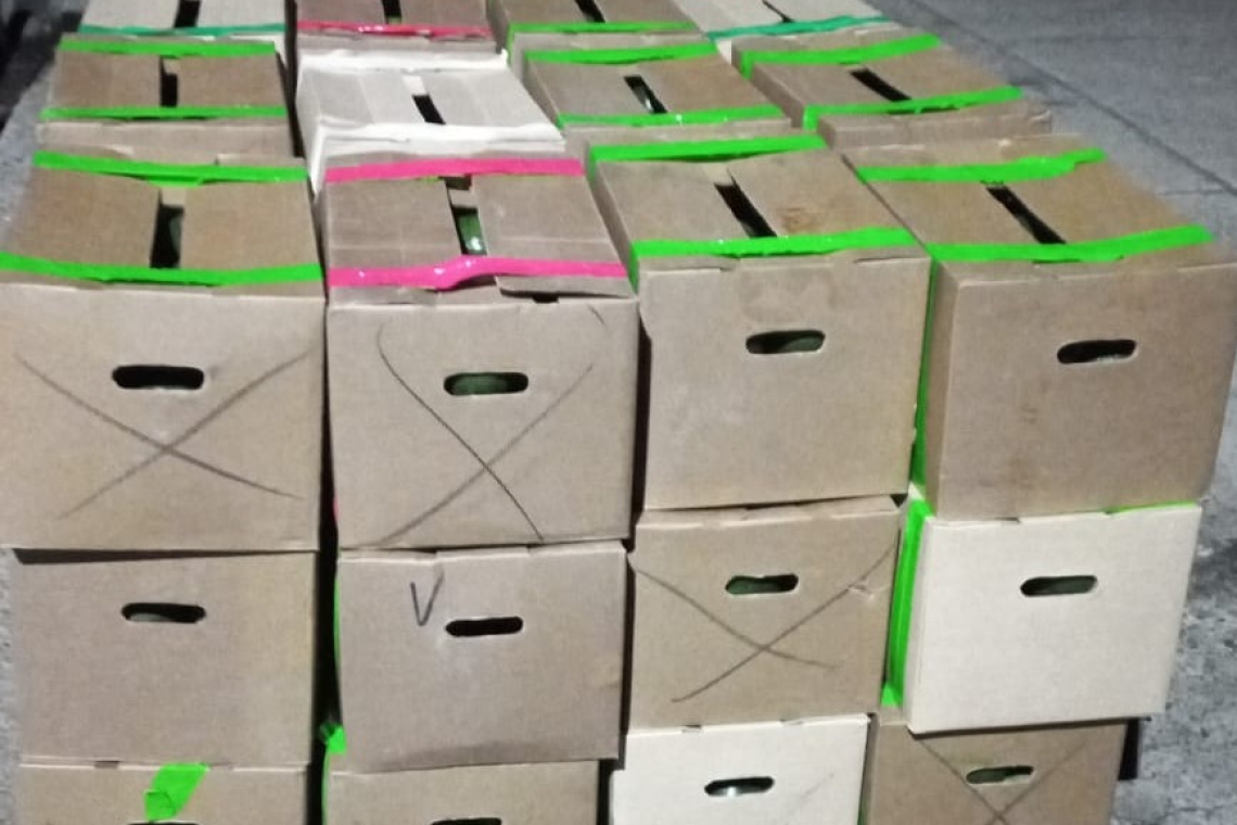 CEO comisa 57 cajas de palta peruana sin documento de respaldo en Tiquina