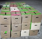 CEO comisa 57 cajas de palta peruana sin documento de respaldo en Tiquina